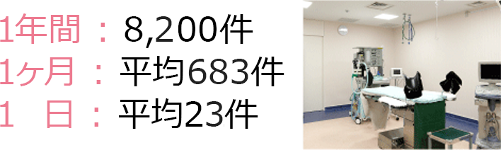 一年間:8200件 1ヶ月:平均683件 1日:平均23件